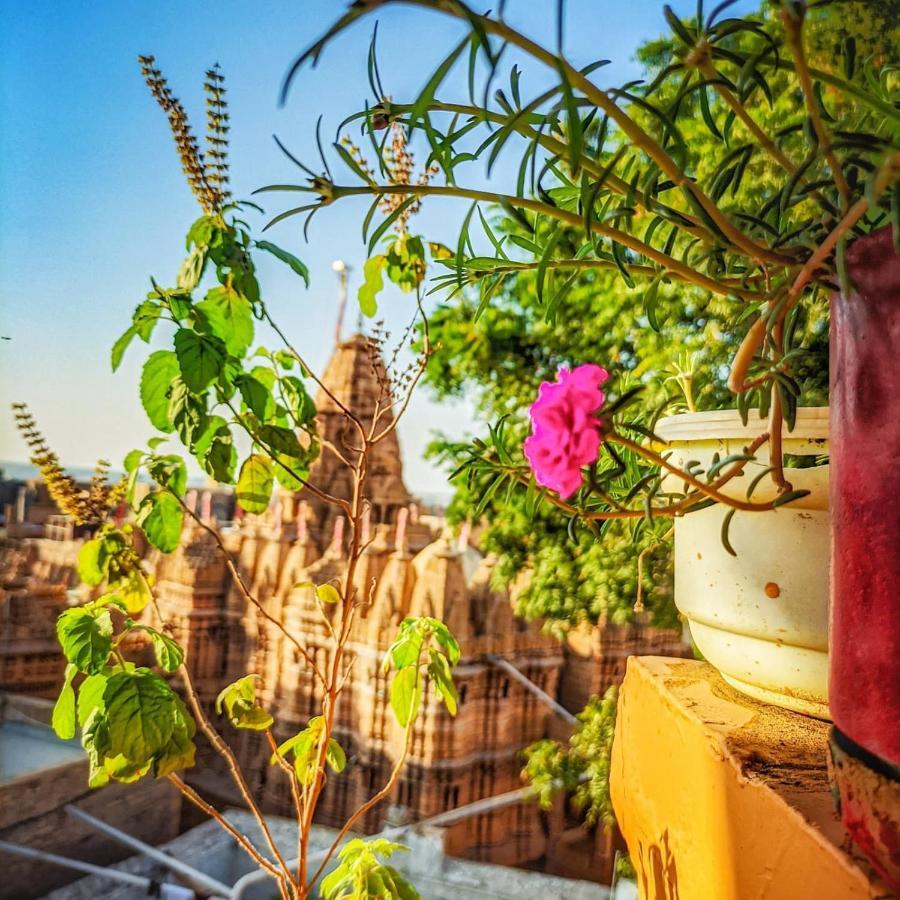 Mud Mirror Guesthouse Jaisalmer Zewnętrze zdjęcie